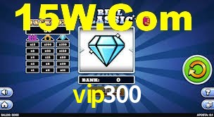vip300 login
