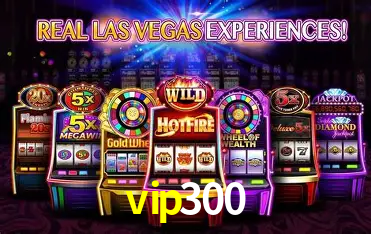 vip300 - Customer Support