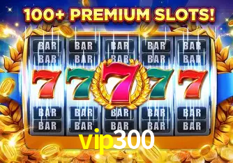 vip300 Salvador - Support