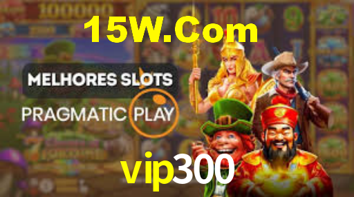 vip300 login