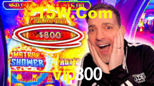 vip300