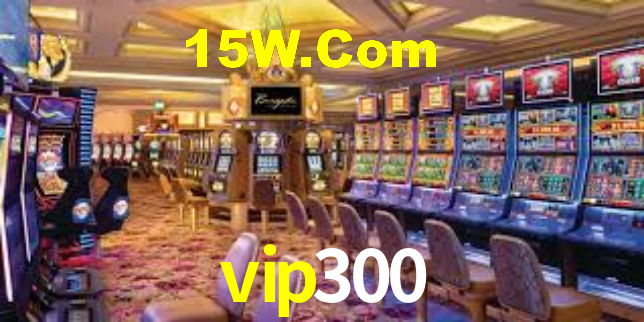 vip300 - Installation Guide