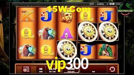 vip300 - Login Methods