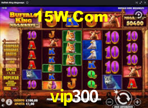 vip300,vip300.com