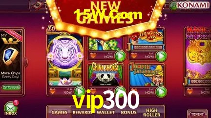 vip300 - Support