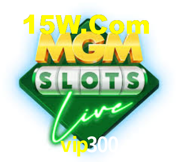vip300 - App Security