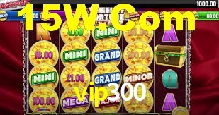vip300